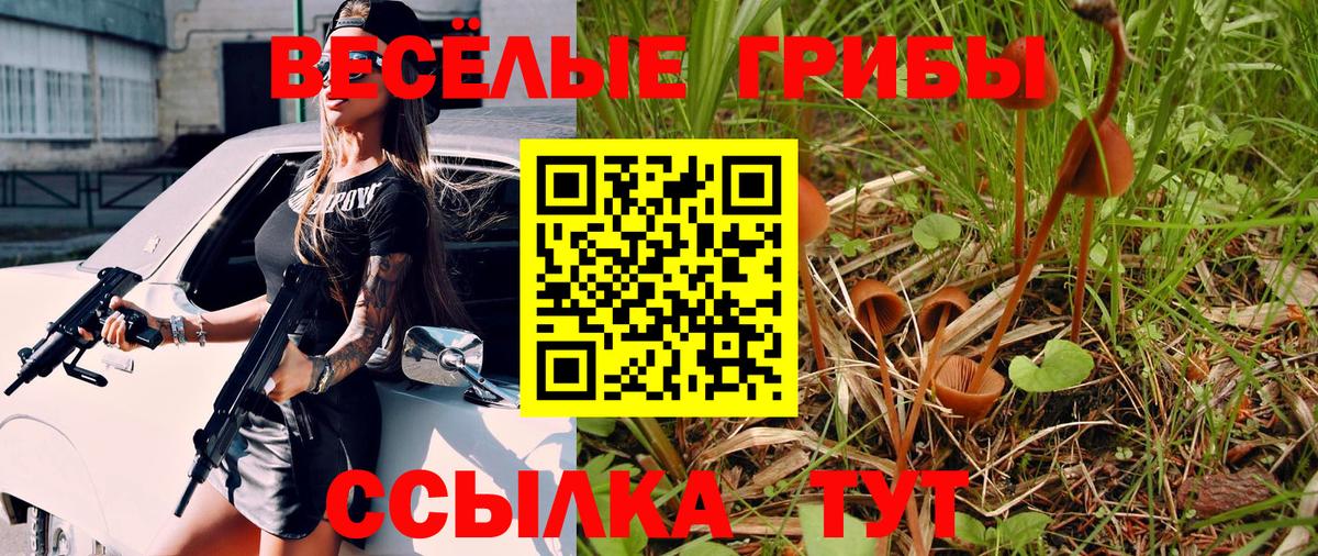 Галлюциногенные грибы GOLDEN TEACHER Борзя