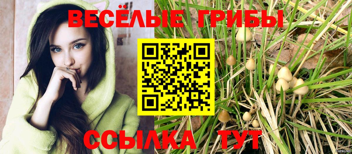 Борзя  Псилоцибиновые грибы мицелий  Вход с VPN 